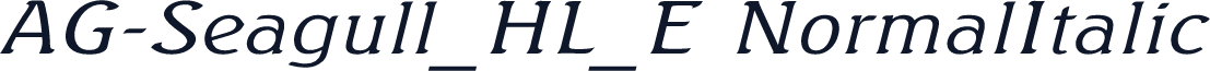 AG-Seagull_HL_E NormalItalic