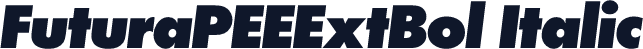 FuturaPEEExtBol Italic