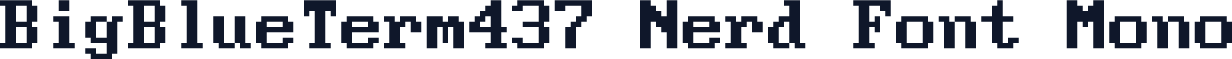 BigBlueTerm437 Nerd Font Mono