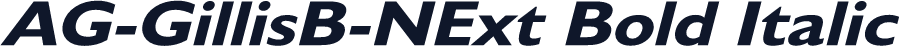 AG-GillisB-NExt Bold Italic