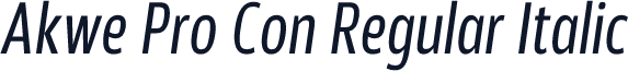 Akwe Pro Con Regular Italic