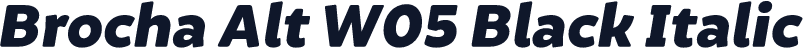 Brocha Alt W05 Black Italic
