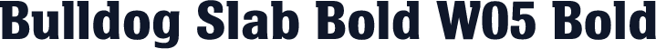 Bulldog Slab Bold W05 Bold