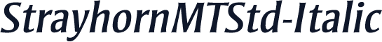 StrayhornMTStd-Italic