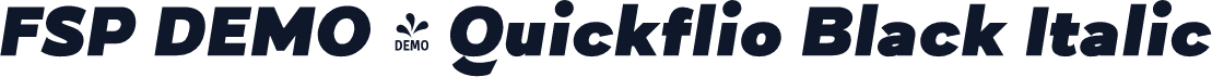 FSP DEMO - Quickflio Black Italic