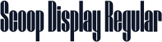 Scoop Display Regular