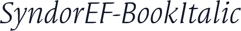 SyndorEF-BookItalic