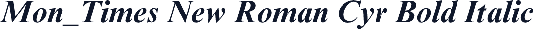 Mon_Times New Roman Cyr Bold Italic