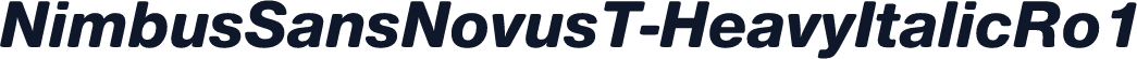 NimbusSansNovusT-HeavyItalicRo1