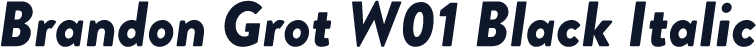 Brandon Grot W01 Black Italic