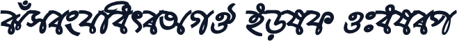 SumeshwariAMJ Bold Italic