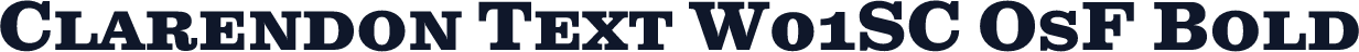 Clarendon Text W01SC OsF Bold