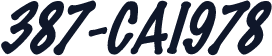 387-CAI978