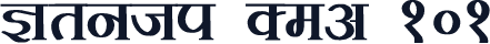 Kruti Dev 101