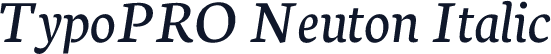 TypoPRO Neuton Italic