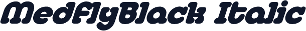 MedflyBlack Italic