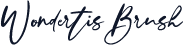 WondertisBrush