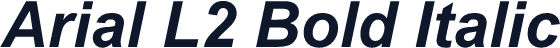 Arial L2 Bold Italic