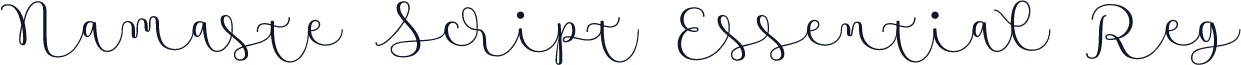 Namaste Script Essential Reg