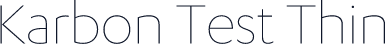Karbon Test Thin