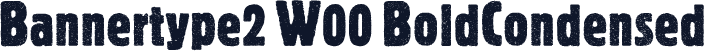 Bannertype2 W00 BoldCondensed