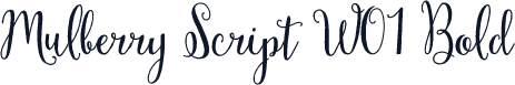 Mulberry Script W01 Bold