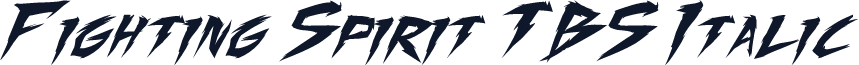 Fighting Spirit TBS Italic
