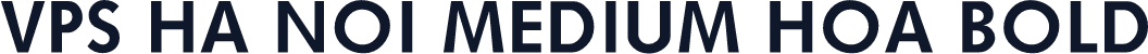 VPS Ha Noi Medium Hoa Bold