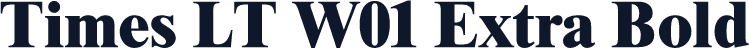 Times LT W01 Extra Bold