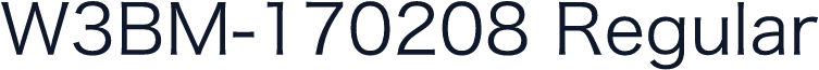 W3BM-170208 Regular