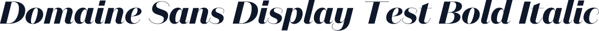 Domaine Sans Display Test Bold Italic
