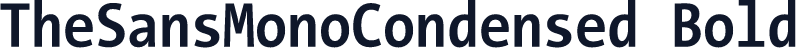 TheSansMonoCondensed Bold
