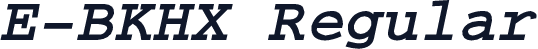 E-BKHX Regular