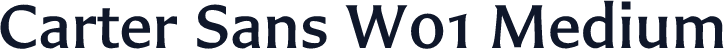 Carter Sans W01 Medium