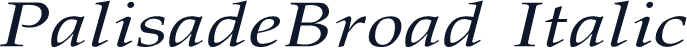 PalisadeBroad Italic