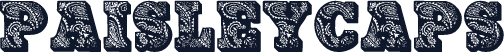 PaisleyCaps