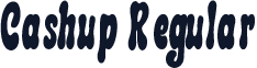 Cashup Regular