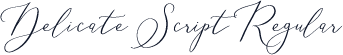 Delicate Script Regular