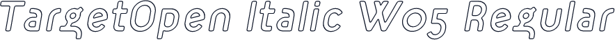 TargetOpen Italic W05 Regular