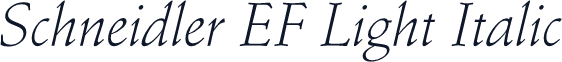 Schneidler EF Light Italic