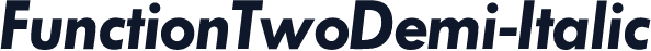 FunctionTwoDemi-Italic