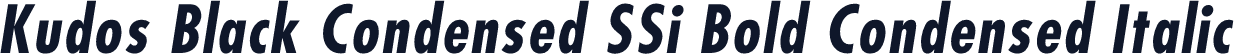 Kudos Black Condensed SSi Bold Condensed Italic
