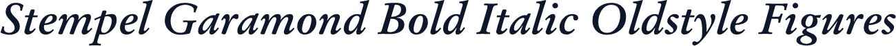 Stempel Garamond Bold Italic Oldstyle Figures