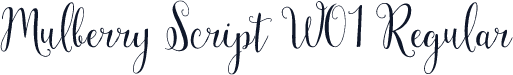 Mulberry Script W01 Regular