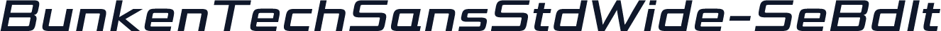 ☞BunkenTechSansStdWide-SeBdIt