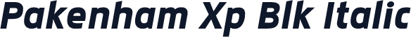 Pakenham Xp Blk Italic