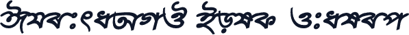 ChitraAMJ Bold Italic