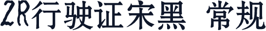ZR行驶证宋黑 常规