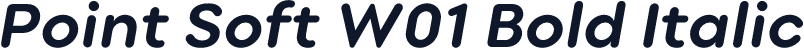 Point Soft W01 Bold Italic