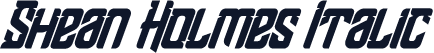 Shean Holmes Italic